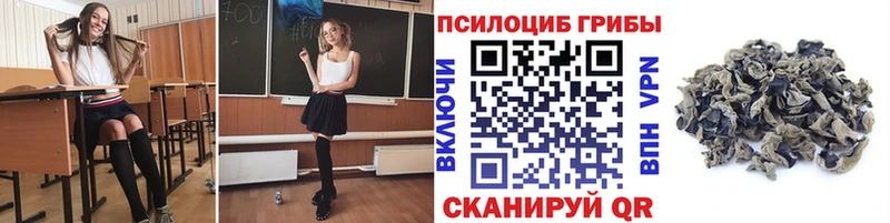 Галлюциногенные грибы мухоморы  Купить где  Тайга 